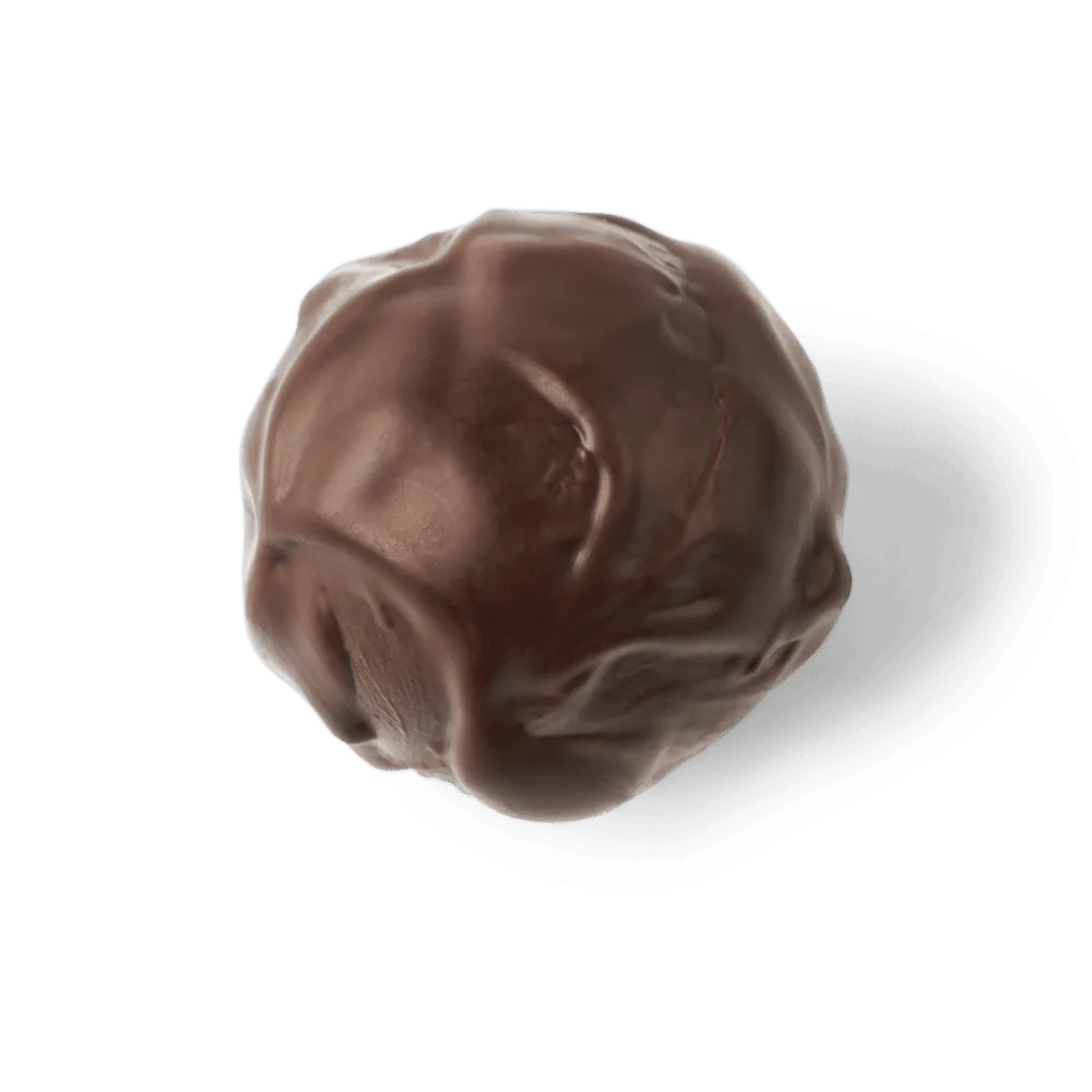 Mörk tryffel